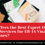 EB-1A expert opinion letter review for extraordinary ability visa petition and RFE response support