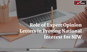 Expert Opinion Letters for NIW showing national interest proof