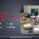 Expert opinion letter EB2 NIW and O-1 visa application