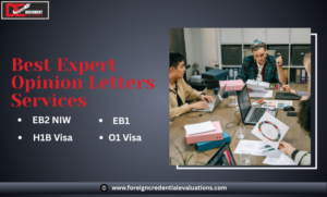 Expert opinion letter EB2 NIW and O-1 visa application