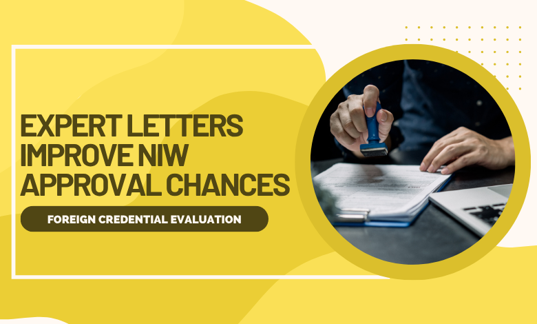 Expert letters for NIW petition approval process