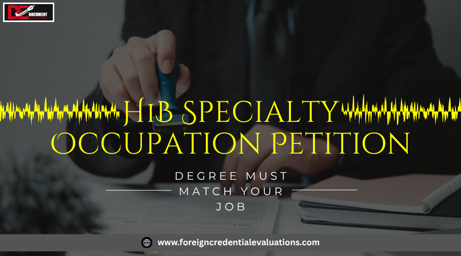 Professional reviewing an H1B expert letter and immigration documents for USCIS petition approval